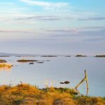 Private Guided Tour on Lake Vänern - The Journey Begins: Setting Sail from Ekenäs Guest Harbor