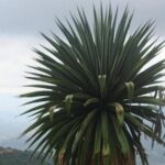 Private Half Day Bird Watching Experience - Why We Think This Tour Offers Great Value