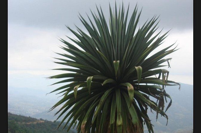 Private Half Day Bird Watching Experience - Why We Think This Tour Offers Great Value