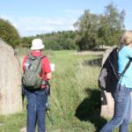 Private Half Day Tour: Viking History Trip from Stockholm Including Sigtuna - Final Thoughts: Is This Tour Right for You?
