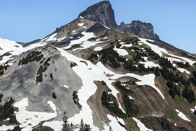 Private Hiking Day Tour of Garibaldi Lake Panorama Ridge - Overview and What Makes This Tour Special