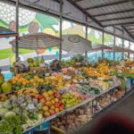 Private Hilo Shore Excursion - Botanical Gardens & Waterfalls - Transportation and Group Size