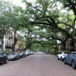 Private Historic Savannah Driving Tour - Who Is This Tour Best For?