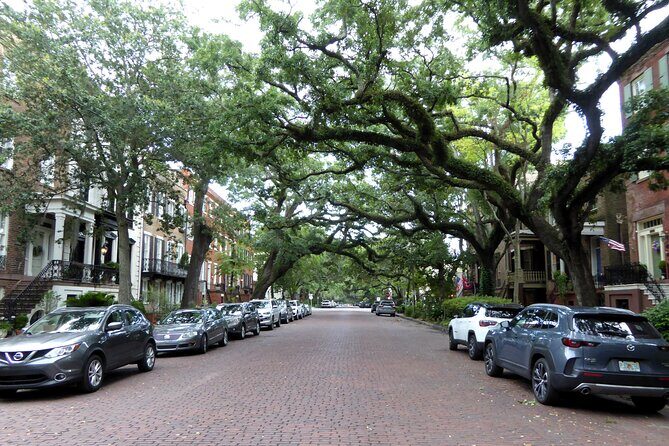 Private Historic Savannah Driving Tour - Who Is This Tour Best For?