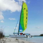 Private Hobie Cat Sailing Tour - A Closer Look at the Experience