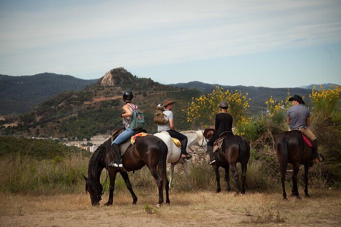 Private Horseback Riding in Alanya - An Honest Look at the Horse Safari Experience