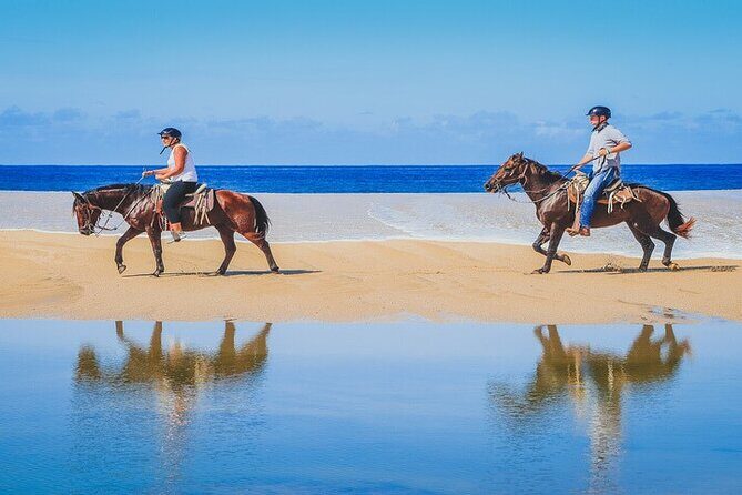 Private Horseback Riding in Cabo San Lucas - Authentic Experiences & Insights