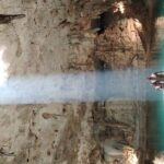 Private Instagram Cenotes Tour with Professional Photography - Authentic Experiences and What Travelers Say