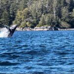 Private Island Experience in Sitka - Pricing & Value