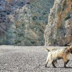 Private Jeep Tour to Agiofarago Beach to swim & Matala walk - Exploring the Itinerary: A Closer Look