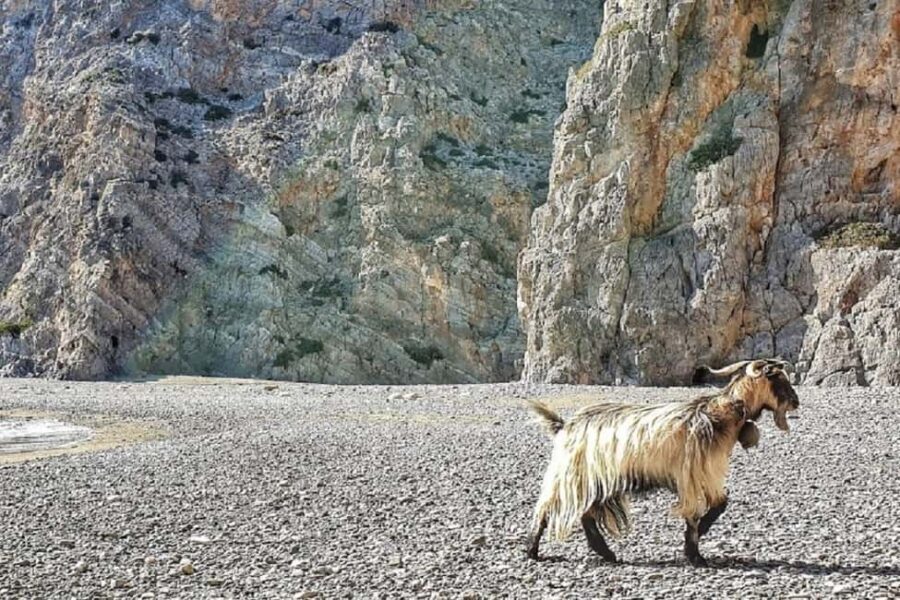 Private Jeep Tour to Agiofarago Beach to swim & Matala walk - Exploring the Itinerary: A Closer Look