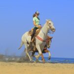 Private Jungle Horseback Adventure - What’s Included and What to Expect
