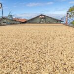 Private Kona Coffee and National Historic Parks Tour - Who will enjoy this tour most?