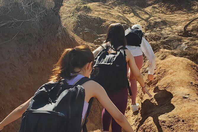 Private Lanikai Pillbox Hike and Lanikai Beach Excursion - Practical Details & Considerations