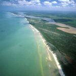 Private Las Coloradas and Ria Lagartos Tour - Exploring Las Coloradas: The Pink Waters and Salt Flats