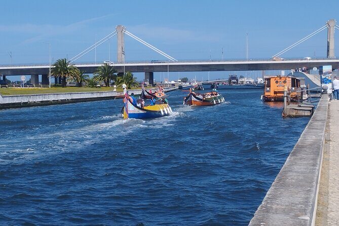 Private Lisbon to Porto tour - Scenic Stops - Electric Vehicle - Exploring the Scenic Stops in Detail