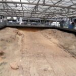 Private Luxury Tour: Unveiling the Sacred Mysteries of Eleusis - Why This Tour Offers Great Value