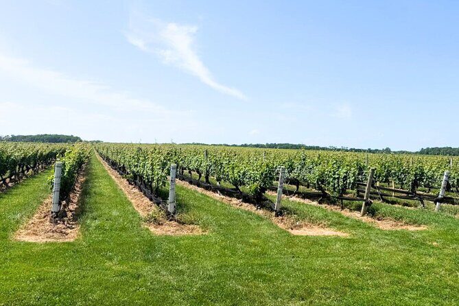 Private Luxury Wine Tours of Long Island Pindar Winery - Who Will Love This Tour?