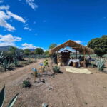 Private Mitla, Hierve el agua and Mezcal Tour with Lunch - Transportation and Logistics