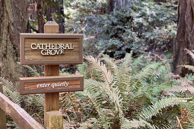 Private Muir Woods Tour Via Luxury Tesla - Why Choose This Tour?