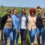 Private Niagara Wine Tour with Cheese and Charcuterie - Assessing the Value