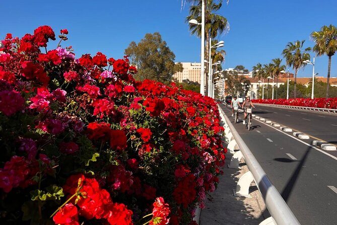 Private Old Town Golden Age Valencia Tour - Practicalities and Tips