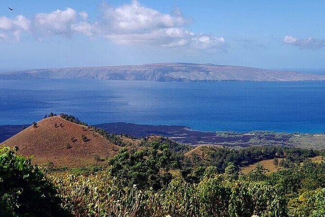 Private Redwood Forest Hiking Tour - Practical Details and Tips