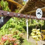 Private Road to Hana Rainforest & Waterfall Experience from Maui - What’s Included and What’s Not
