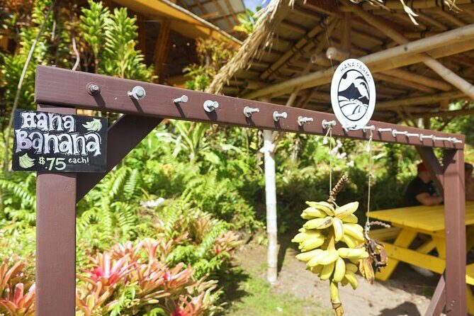 Private Road to Hana Rainforest & Waterfall Experience from Maui - What’s Included and What’s Not