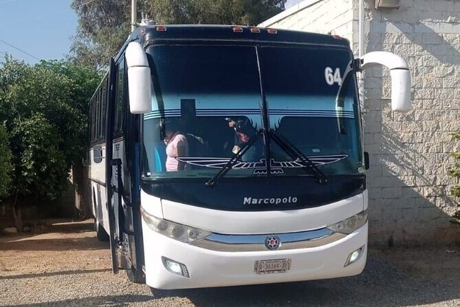 Private Round Transportation from Tijuana to Valle de Guadalupe - What to Expect on Your Day
