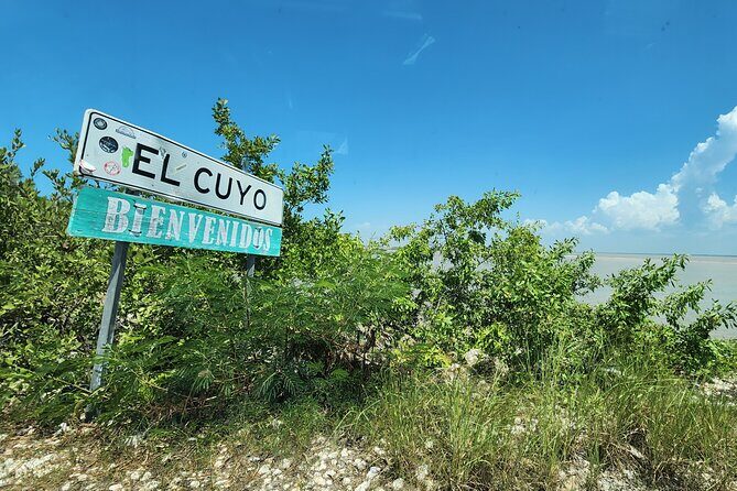 Private Roundtrip Transfer to "El Cuyo Yucatan" - Value and Cost Analysis