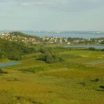 Private Sailing/Tihany Peninsula a private trip to Balaton - The Benedictine Abbey: A Historic Treasure