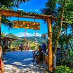 Private Sapanca and Masukiye Tour from Istanbul - Authentic Insights from Reviews