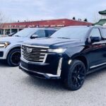 Private Seward Cruise Transit Tour with National Park and AWCC - Practical Tips for Your Trip