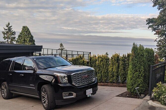 Private Shopping Tour from Palm Springs to Desert Hills Outlets - Transportation and Comfort