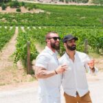 Private Sidecar Winery Tour through San Luis Obispo - Practical Details and Tips