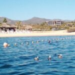 Private Snorkel Santa Maria and Chileno Bay Adventure Los Cabos - Who This Tour Is Best For