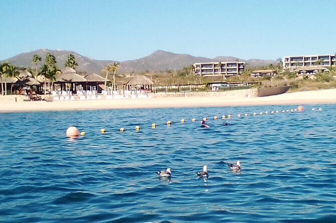 Private Snorkel Santa Maria and Chileno Bay Adventure Los Cabos - Who This Tour Is Best For
