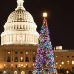 Private Special Christmas tour in Washington - Who Will Enjoy This Tour?