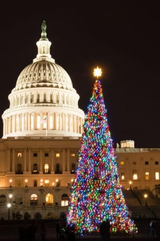 Private Special Christmas tour in Washington - Who Will Enjoy This Tour?