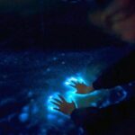 Private Sunset and Bioluminescence Tours in Cocoa Beach - What to Expect from the Cocoa Beach Bioluminescence Tour