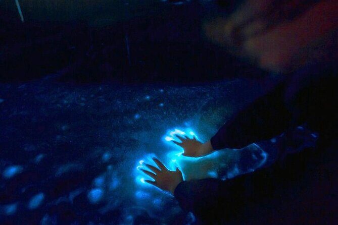 Private Sunset and Bioluminescence Tours in Cocoa Beach - What to Expect from the Cocoa Beach Bioluminescence Tour