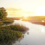 Private Sunset Cruise in Savannah's Low Country - What Makes This Sunset Cruise Stand Out?