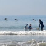 Private Surf Lesson at Will Roger's State Beach - Experience Quality and Instructor Expertise