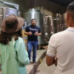 Private Tasting in Valle de Guadalupe Winery - What Sets It Apart
