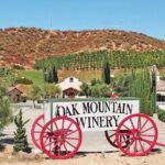 Private Temecula Wine Tour from Newport Beach - Whats Included and Whats Not