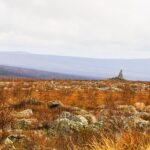 Private Tour Arctic Circle Expedition from Fairbanks - Frequently Asked Questions