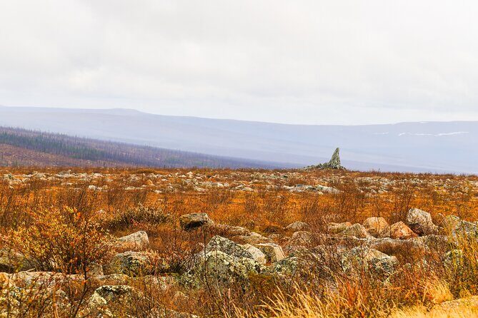 Private Tour Arctic Circle Expedition from Fairbanks - Frequently Asked Questions