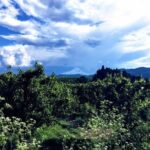 Private Tour at The Hood-Columbia Loop: Timberline, Orchards, and Waterfalls - Who Will Love This Tour?