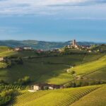 Private Tour: Barolo Wine Tasting in Langhe area from Torino - Summary of the Experience